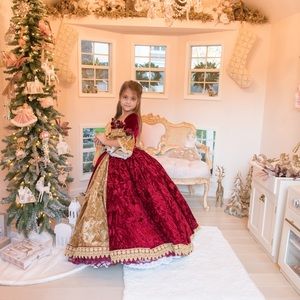 Ella Dynae Belle Beauty and the Beast Christmas dress s 6 couture worn once
